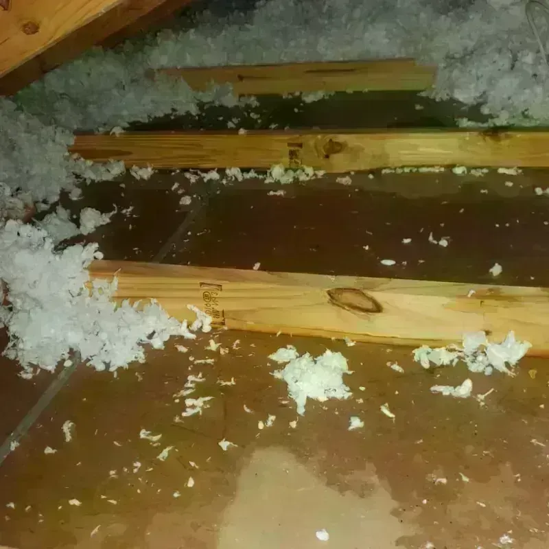 Attic Water Damage in Berlin, WI