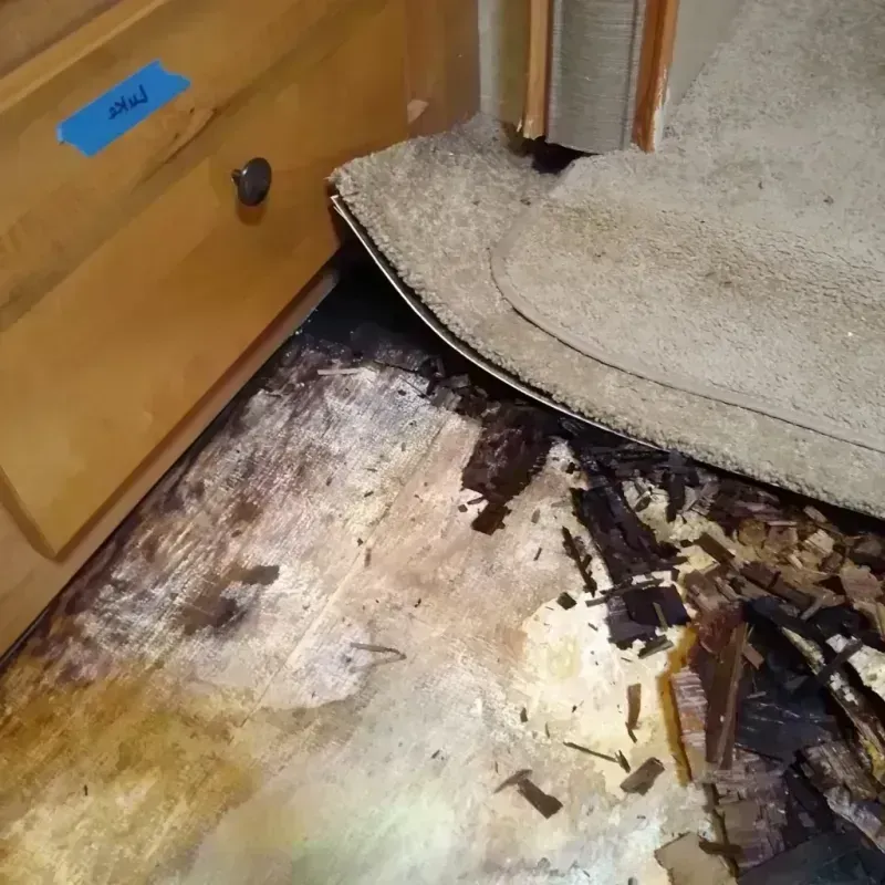 Wood Floor Water Damage in Berlin, WI